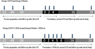 Effect of Intranodally Administered Dendritic Cell-Based HIV Vaccine in Combination With Pegylated Interferon α-2a on Viral Control Following ART Discontinuation: A Phase 2A Randomized Clinical Trial